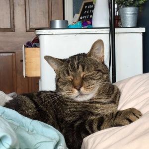 Fundraising Page: Teagan Maloney